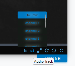Audio Tracks